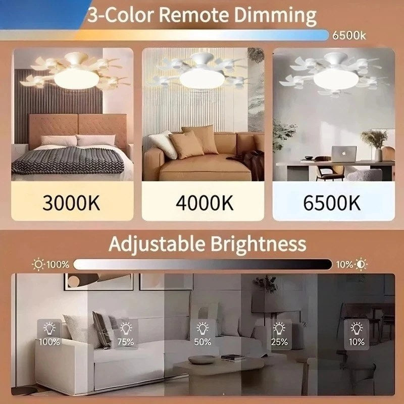 alishop:0b621b6a7374